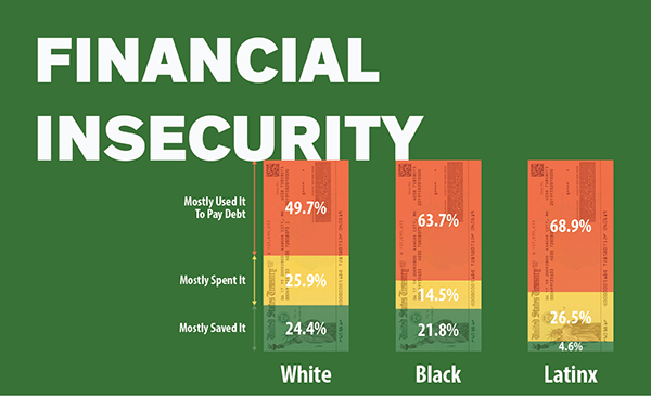 Covid 19 Report Financial Insecurity Graphics